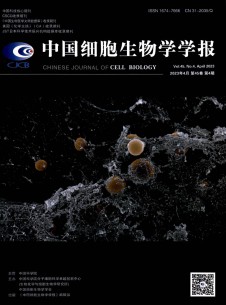 点击查看细胞生物学