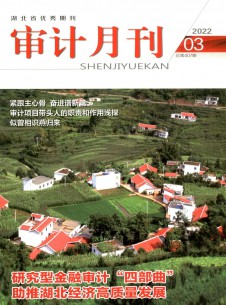 点击查看审计月刊