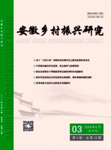 点击查看安徽乡村振兴研究