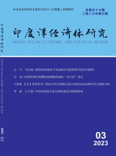 点击查看印度洋经济体研究